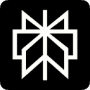 Perplexity Search API logo