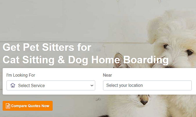 Best dog sitter hotsell app