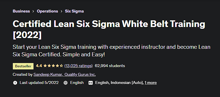 Udemy six sigma sale