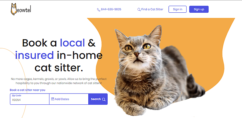 Find a cat best sale sitter near me
