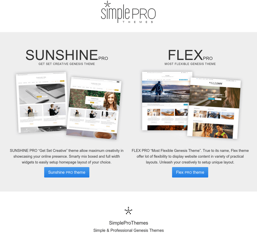 simplepro-themes