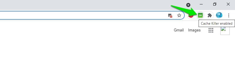 enable Classic Cache Killer extension