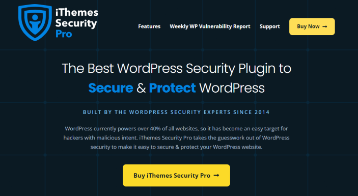 iThemes Security Pro