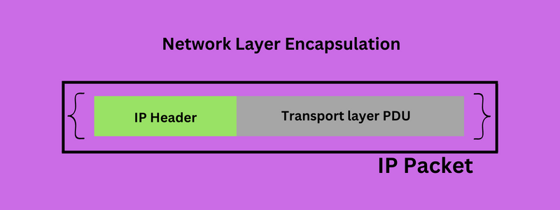 network-layer-PDU