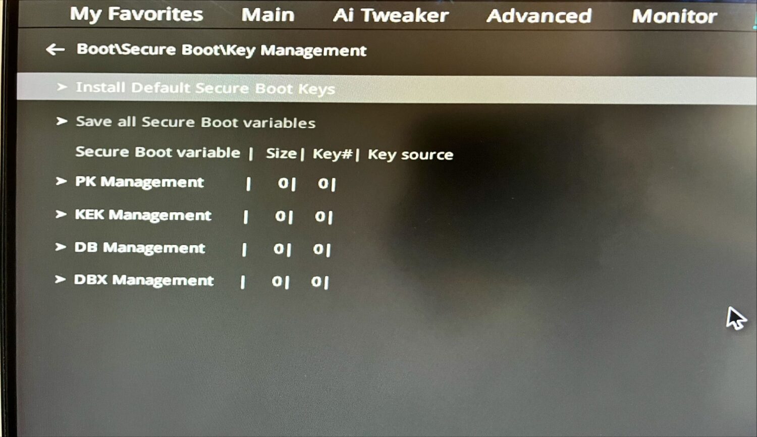 secure boot keys (1)