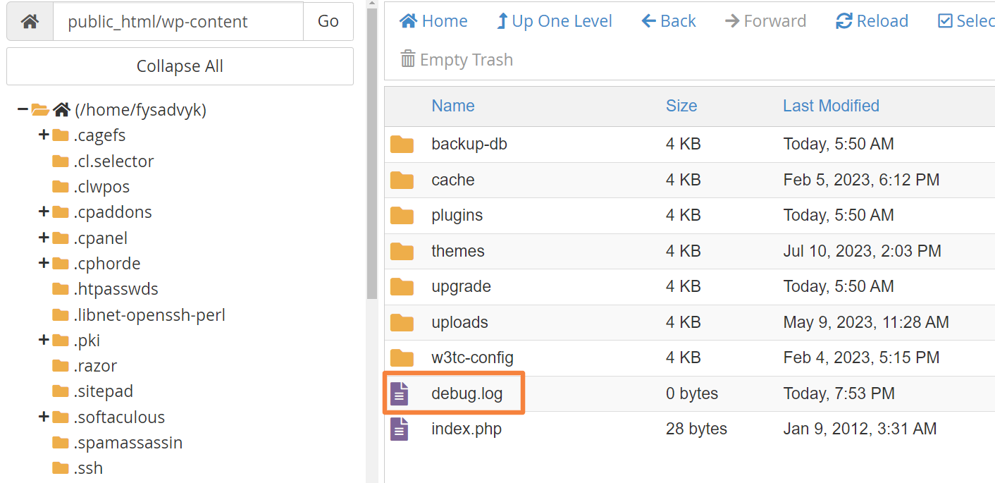 debug log file in cPanel