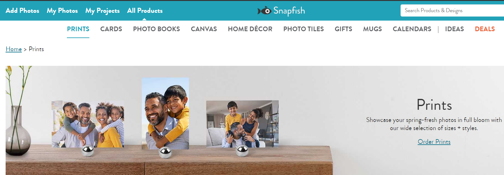 A photo printing service Snapfish showcasing a family picture on its website.