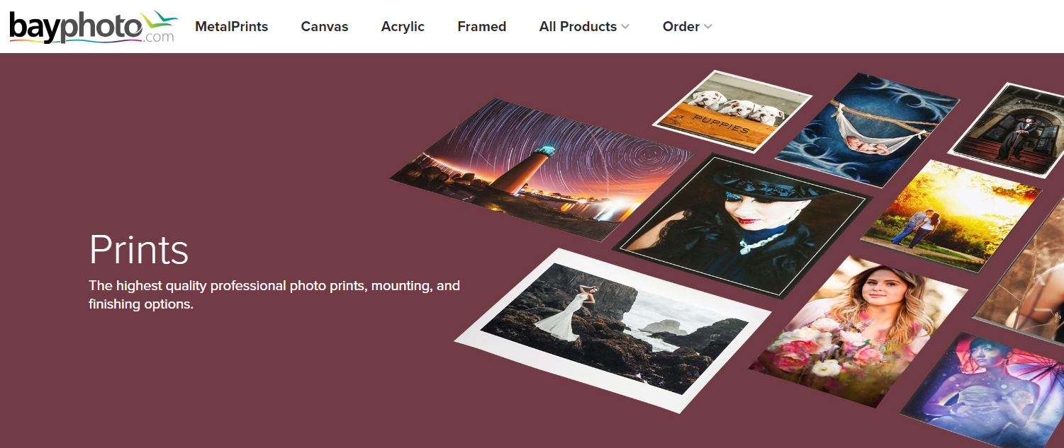 The homepage of bayphoto website featuring a photo printing service.