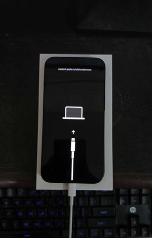 iPhone recovery screen