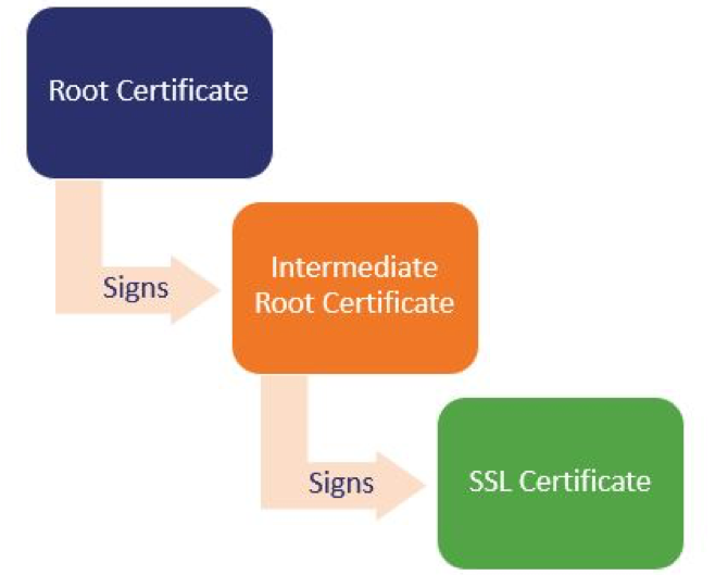 chain-cert