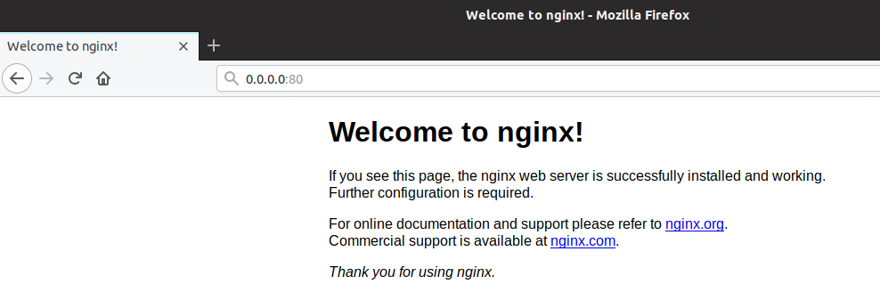 nginx container