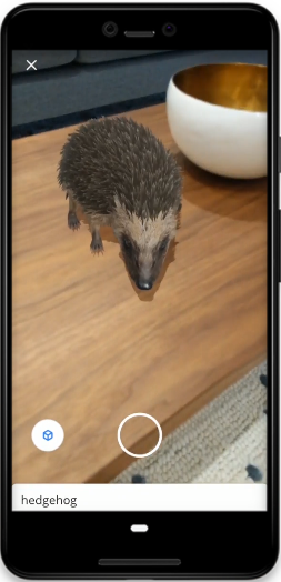 google search AR