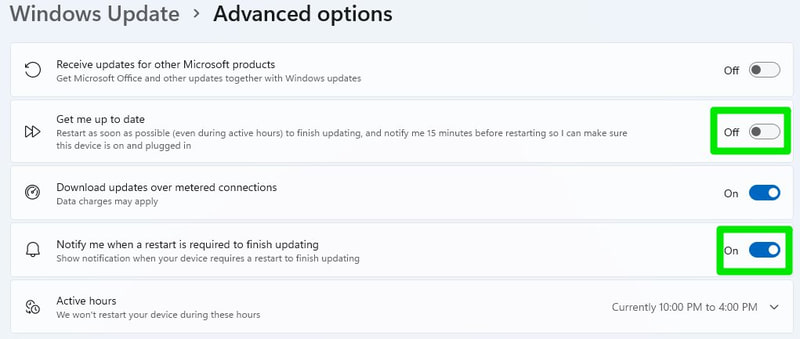 Customize Windows update options