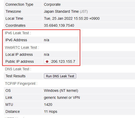 ipv6 leak test