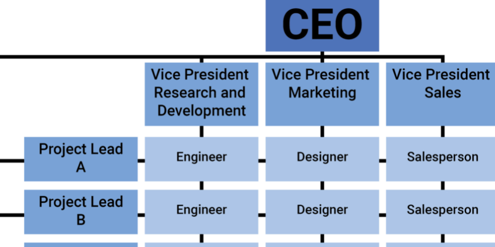 Matrix Organizational Structure