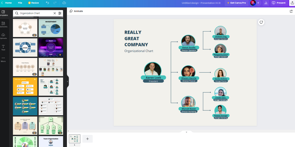 Organizational chart template by Canva