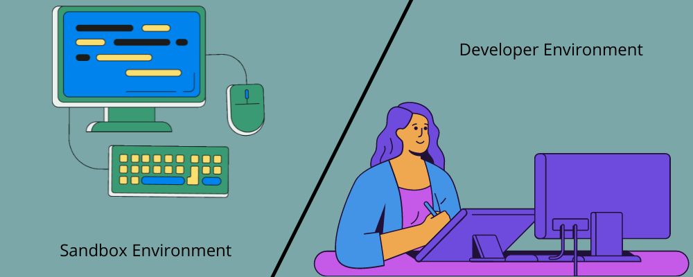 Sandbox Environment vs Developer Environment