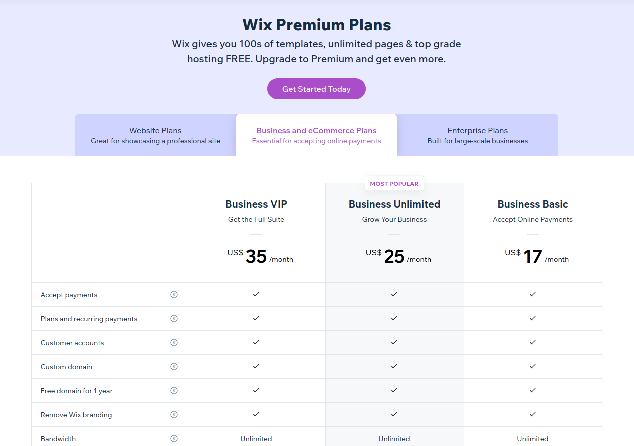 Wix Pricing