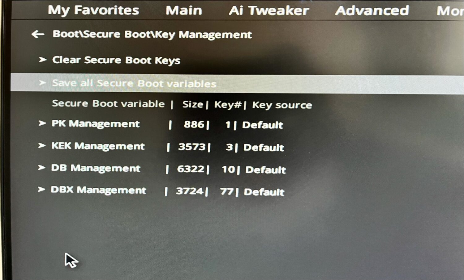 secure boot keys (2)