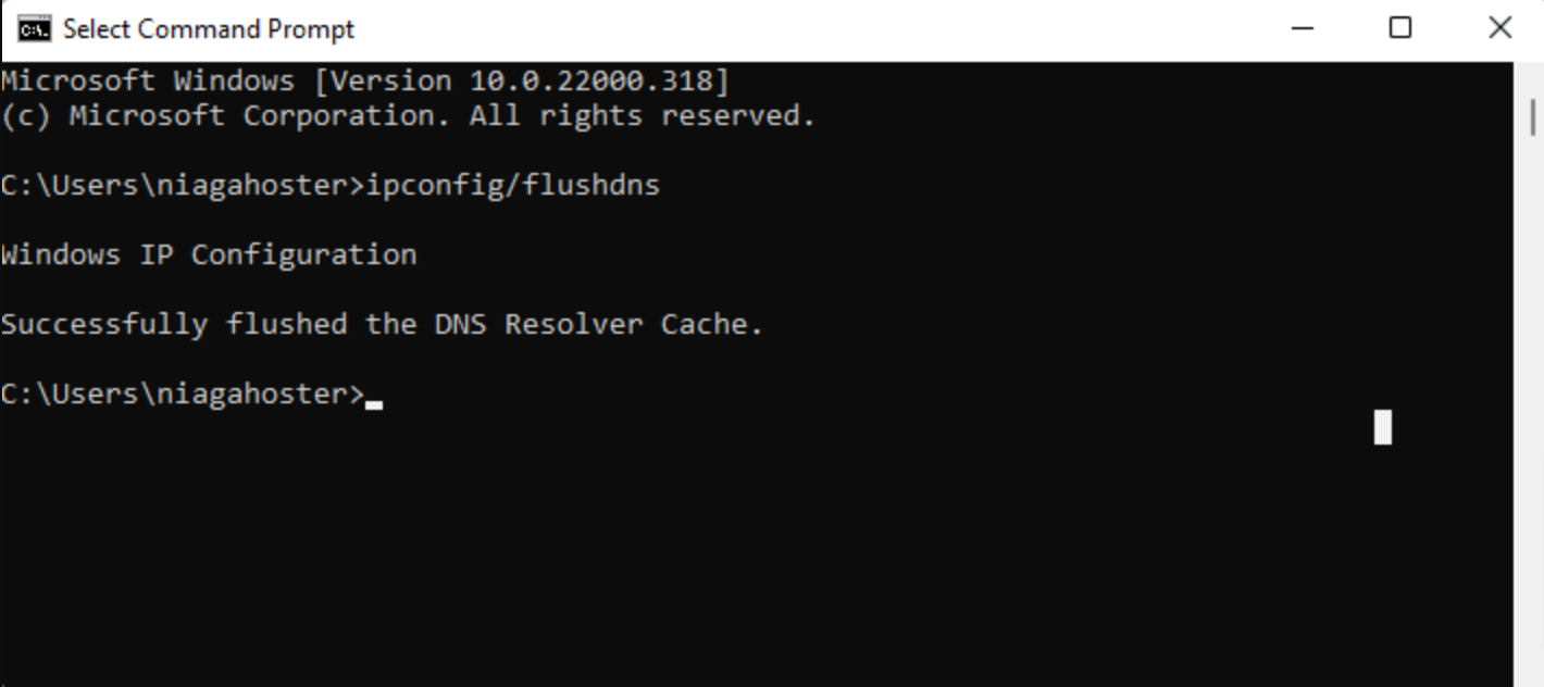 Using command prompt to Flush DNS