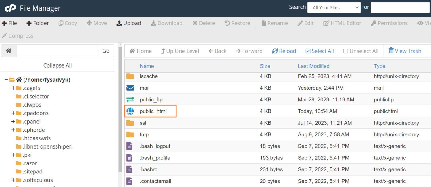 A screenshot of the file manager in azure.