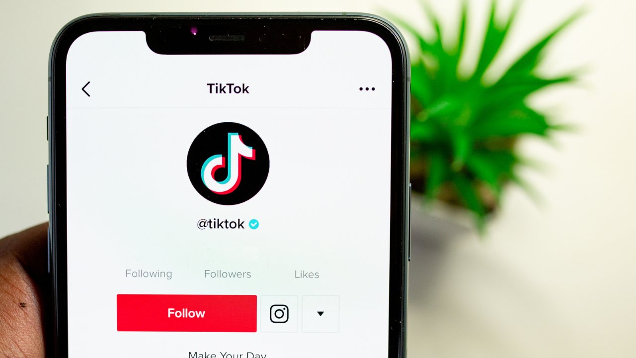 TikTok App on iPhone