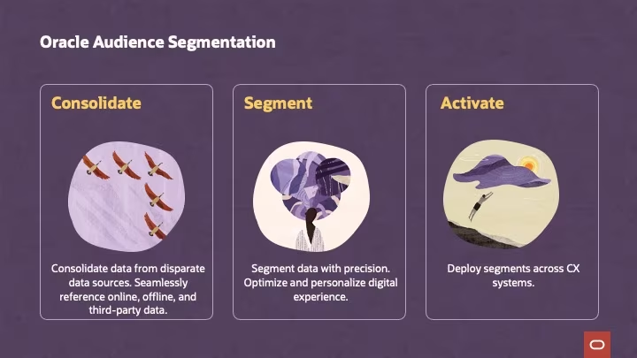 Oracle-Audience-Segmentation