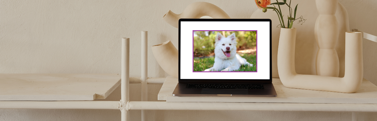 border-gradient-in-CSS