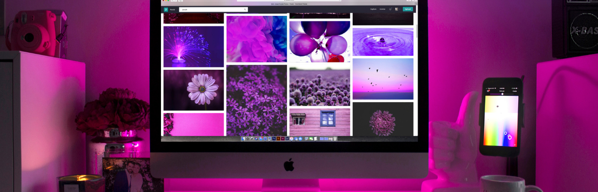 Self-hosted Photo Backup