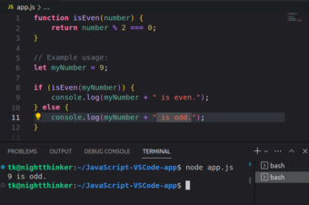 Cómo ejecutar JavaScript en Visual Studio Code y programar como un ...