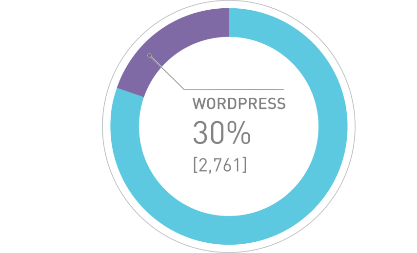 wp-vulnerability-report