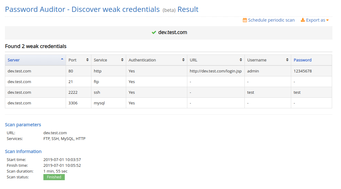 password auditor report