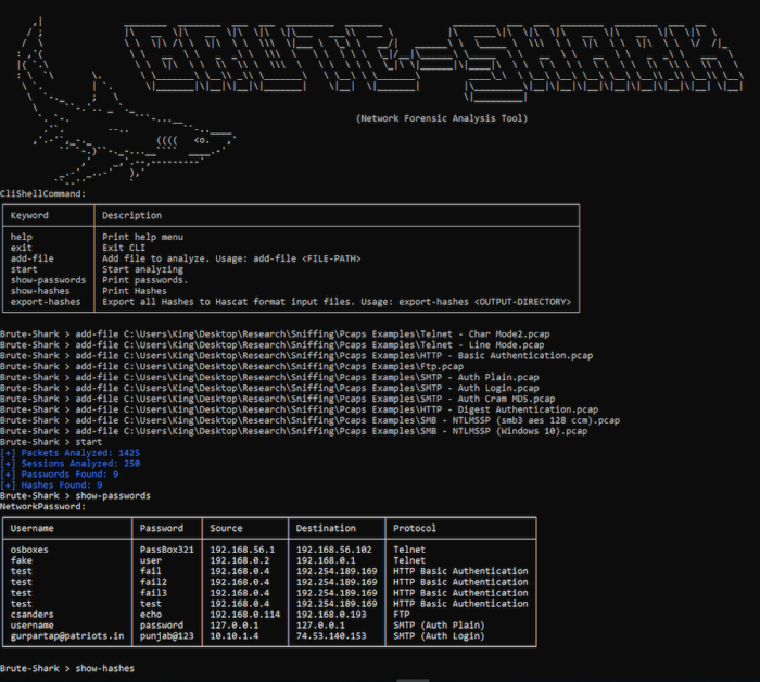 Brute Force Attacks