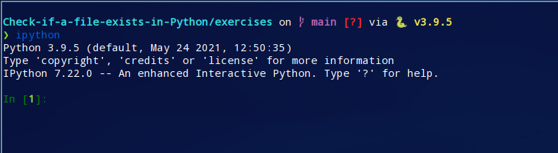 Ipython interactive shell running Python 3.9