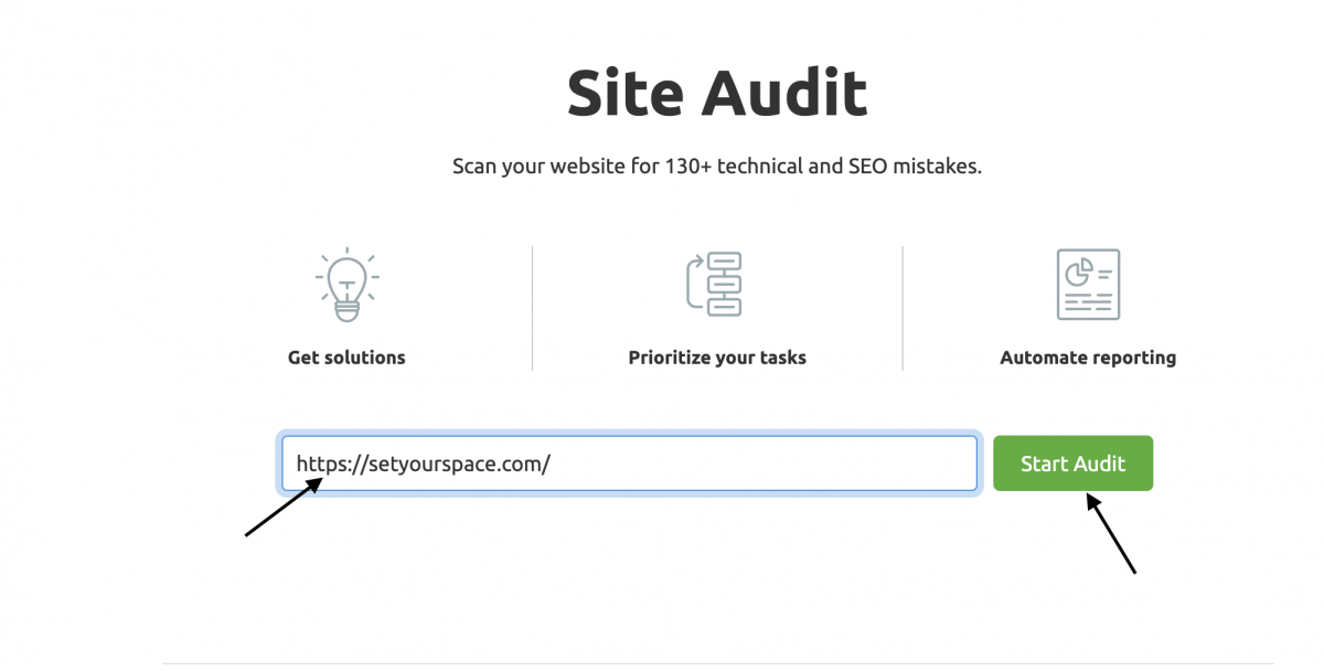 enter the domain name and click on start audit