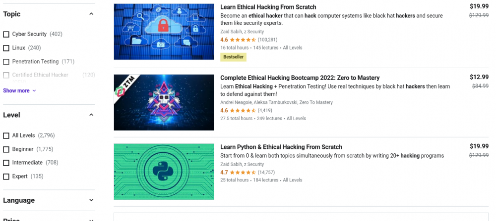 udemy ethical hacking