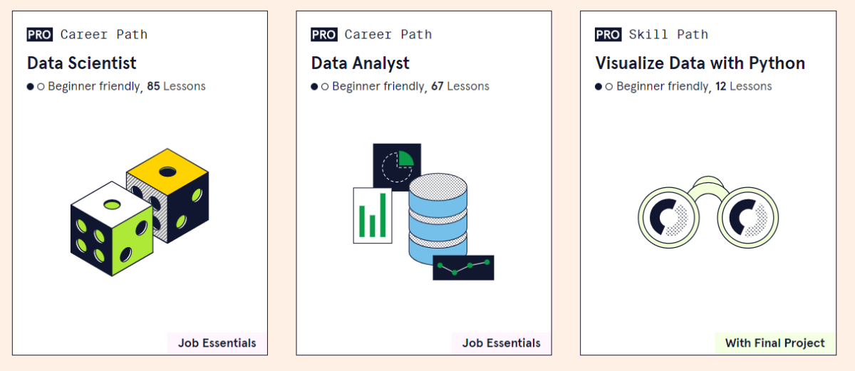 data analyst