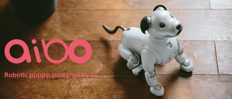 AIBO