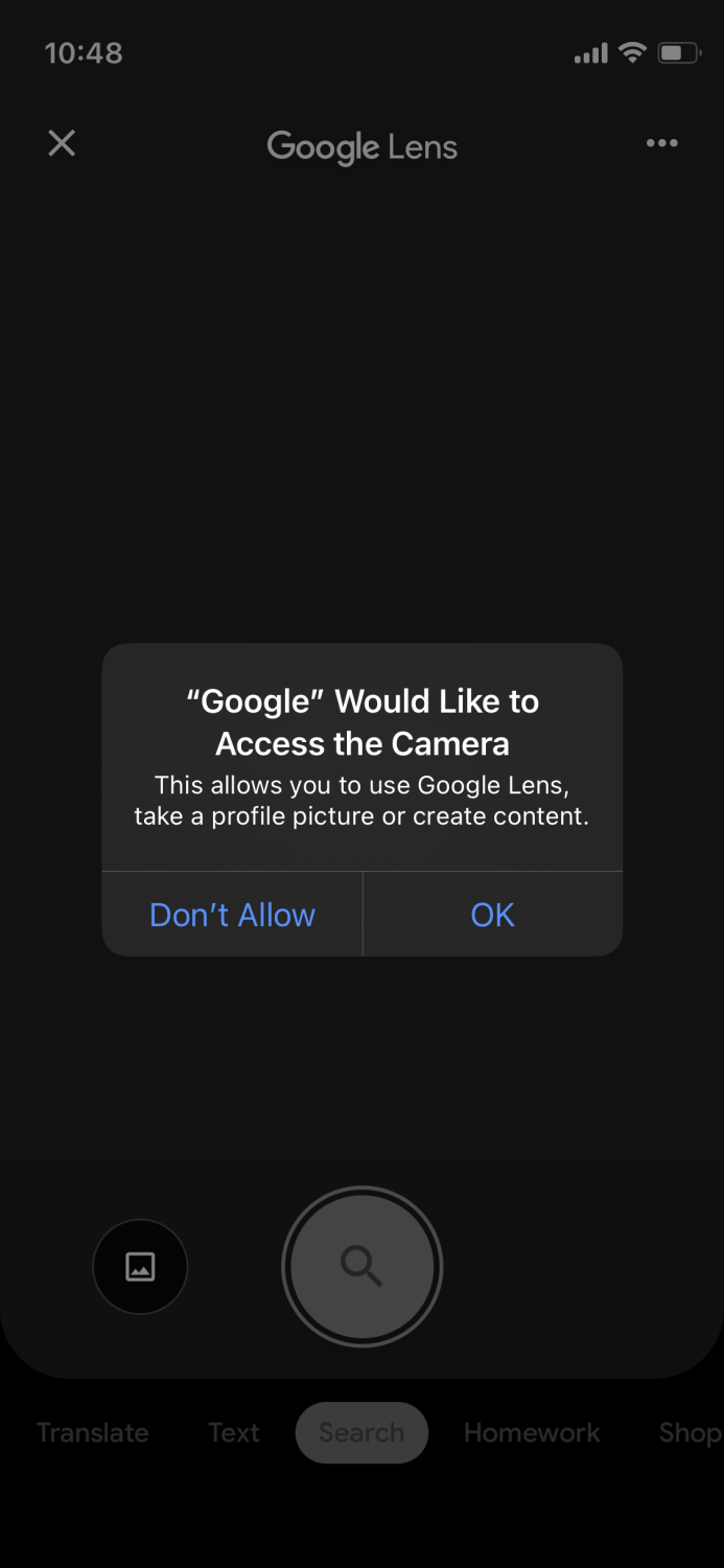 google lens would like to access camera