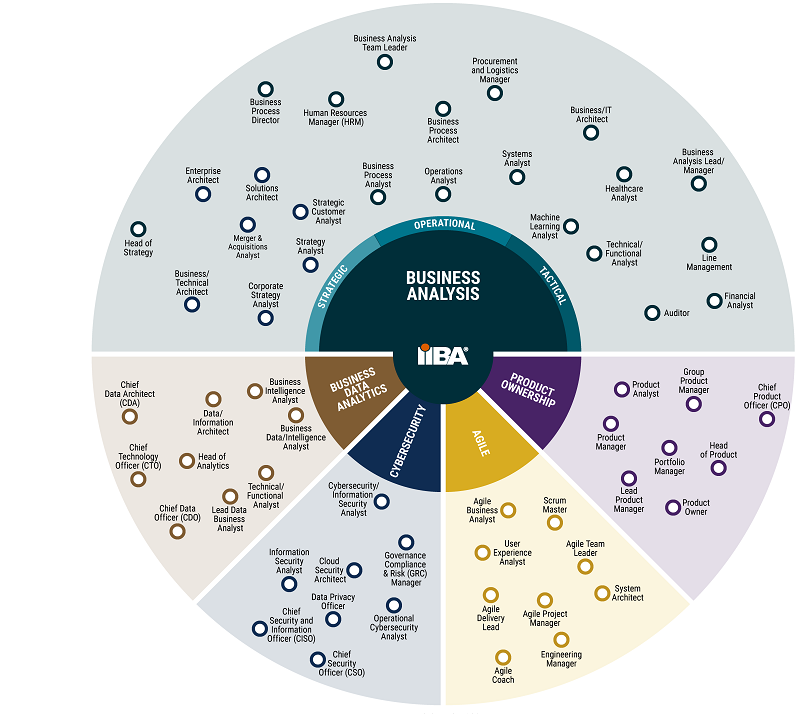 continuing-evolution-of-business-analysis