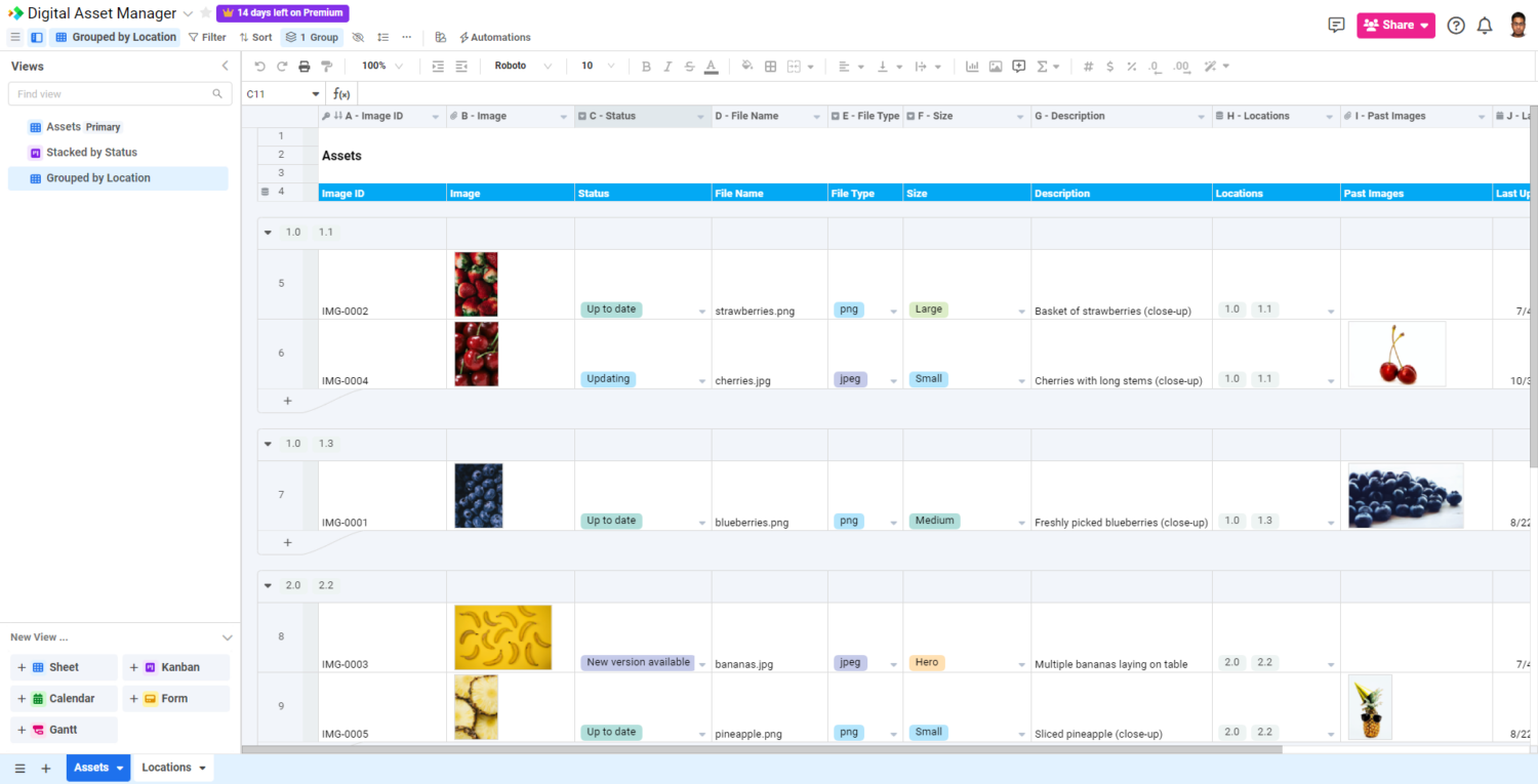 A digital asset management template from Spreadsheet.com