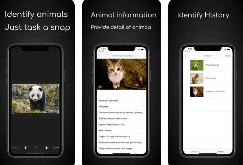 ianimal-animal-identifier-1-1