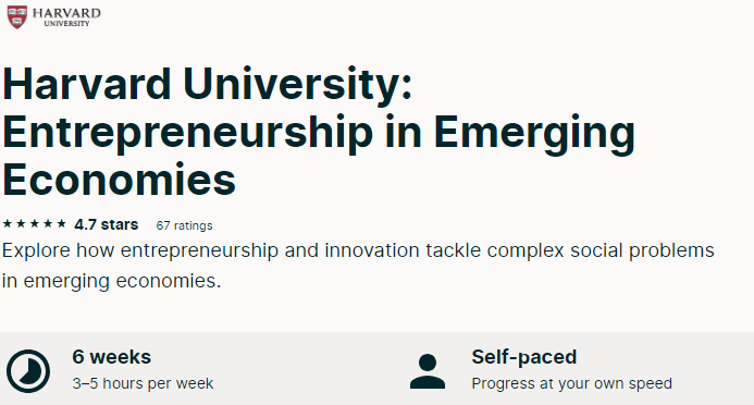 Entrepreneurship-in-emerging-economy