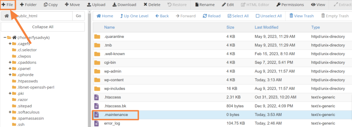 Crate-Maintenance-File-inside-Root-Directory