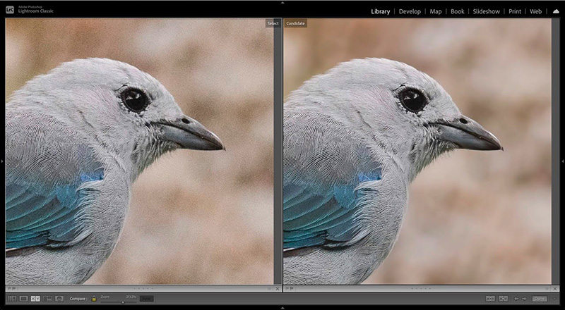 how-to-upscale-an-image-in-lightroom