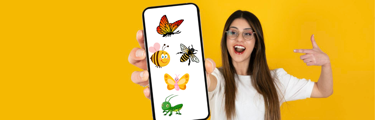 Top Bug Identifier Apps to Explore the World of Insects