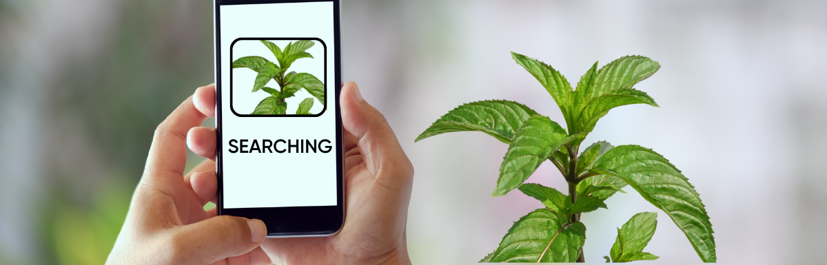 plant-finder-apps-geekflare