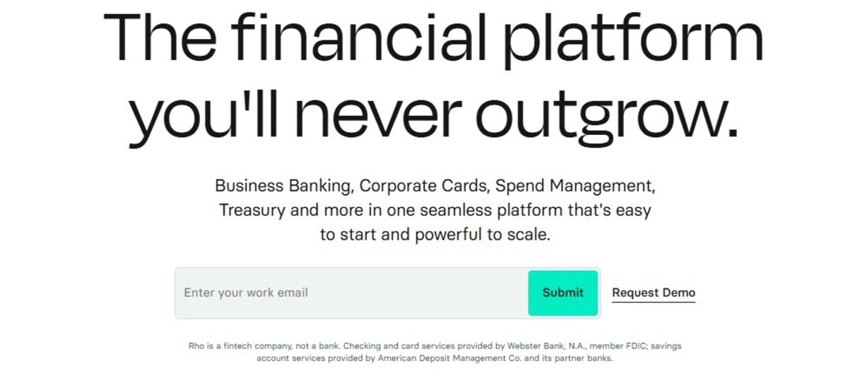 A simple front page showing how Rho can solve your banking and financial problem with its powerful solution.