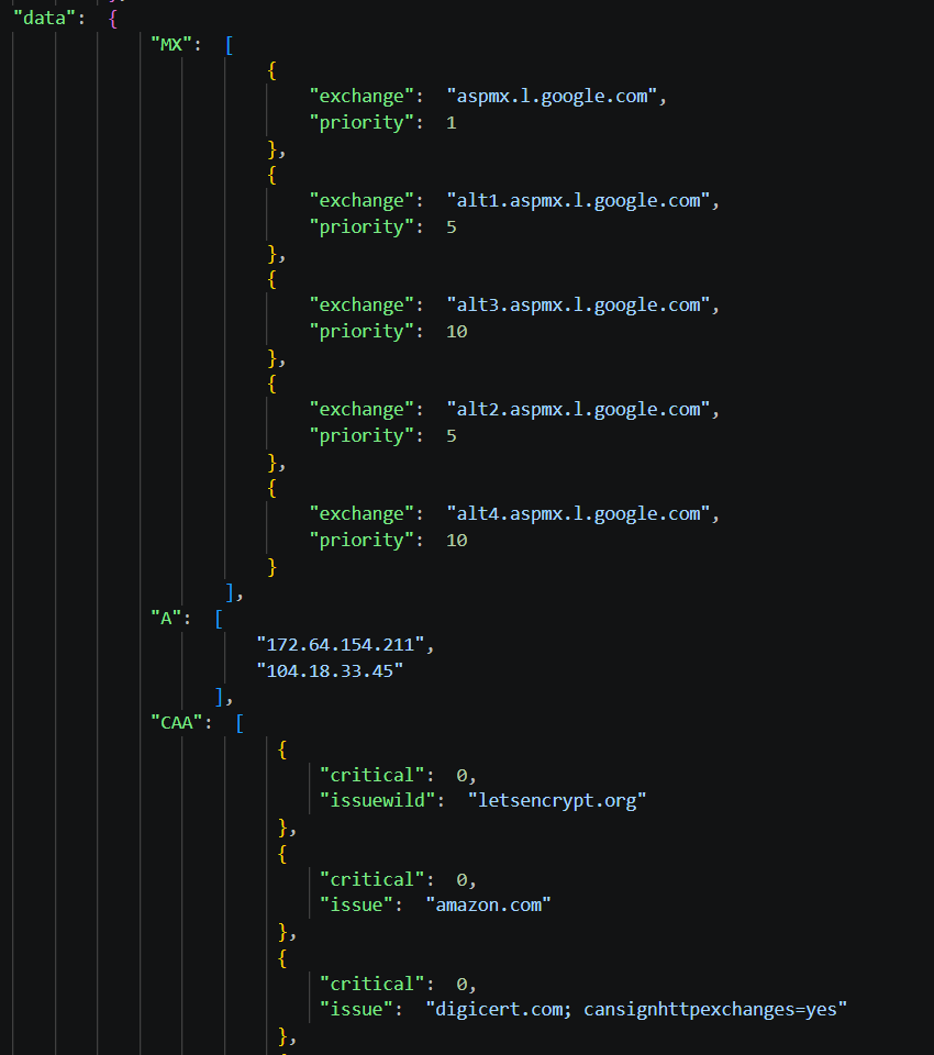 DNS Record Response