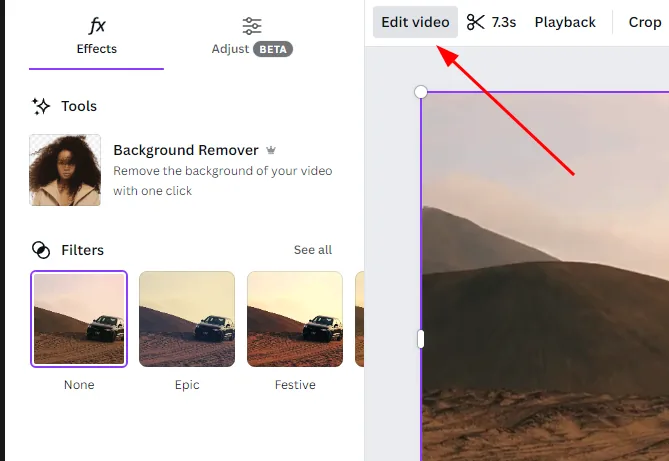 Edit video options in Canva